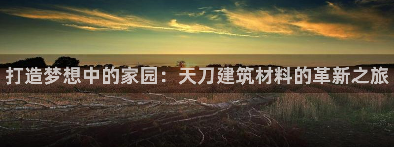 先锋娱乐大厅牛牛：打造梦想中的家园：天刀建筑材料的革新之旅