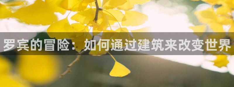 先锋娱乐手机：罗宾的冒险：如何通过建筑来改变世界