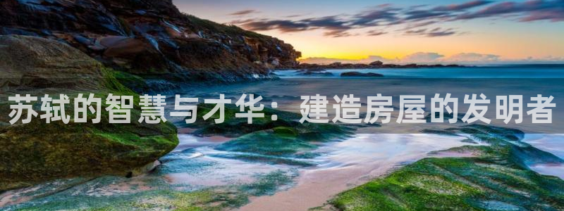 先锋娱乐游戏软件：苏轼的智慧与才华：建造房屋的发明者