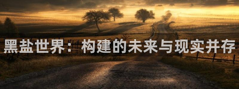 先锋澳门新娱乐：黑盐世界：构建的未来与现实并存