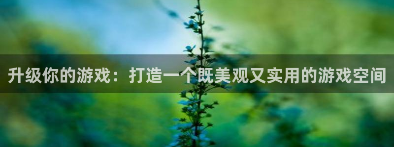 先锋综合娱乐：升级你的游戏：打造一个既美观又实用的游戏空间