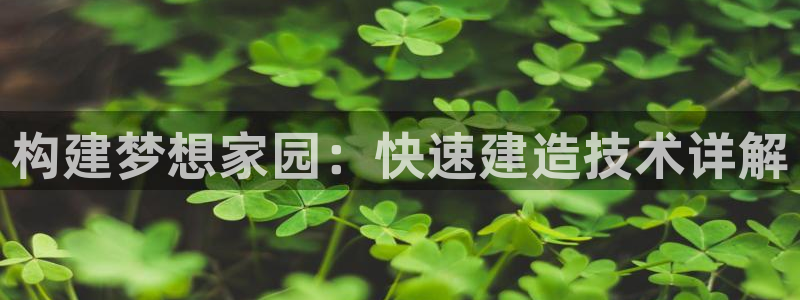 先锋澳门新娱乐：构建梦想家园：快速建造技术详解