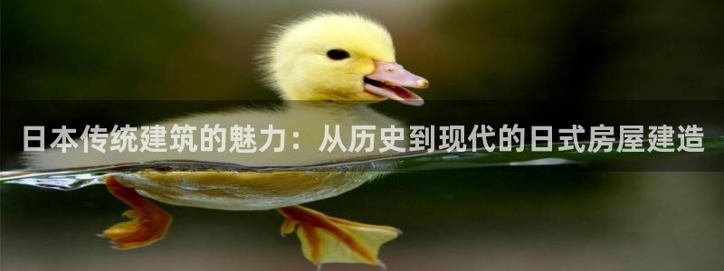 先锋娱乐汇：日本传统建筑的魅力：从历史到现代的日式房屋建造