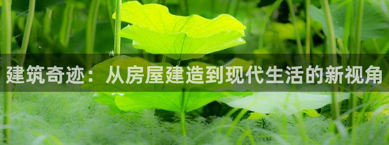 先锋娱乐币：建筑奇迹：从房屋建造到现代生活的新视角