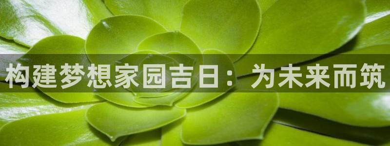 时代先锋娱乐：构建梦想家园吉日：为未来而筑