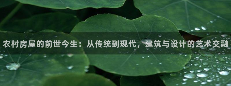 先锋澳门新娱乐：农村房屋的前世今生：从传统到现代，建筑与设计的艺术交融