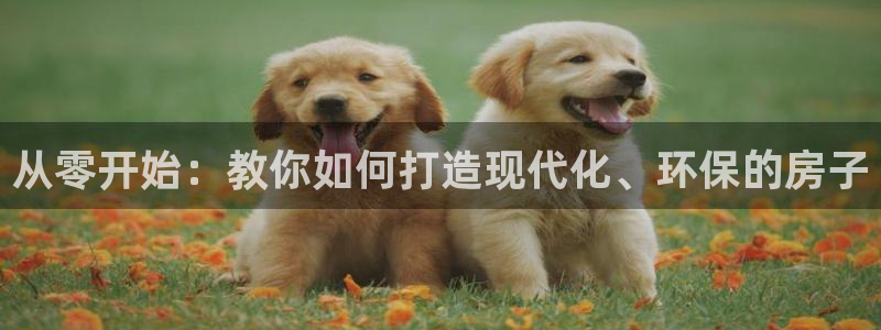 先锋娱乐官：从零开始：教你如何打造现代化、环保的房子
