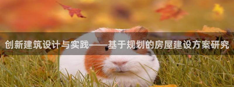 先锋电玩娱乐：创新建筑设计与实践——基于规划的房屋建设方案研究
