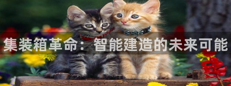 先锋娱乐管理集团：集装箱革命：智能建造的未来可能