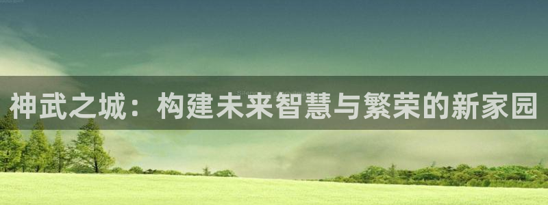 先锋娱乐大厅平台：神武之城：构建未来智慧与繁荣的新家园