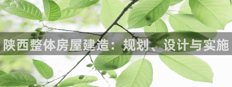 亚洲先锋娱乐登录：陕西整体房屋建造：规划、设计与实施