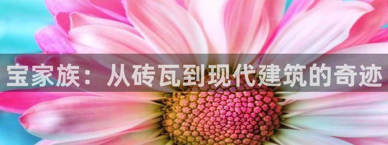 先锋娱乐转进去钱：宝家族：从砖瓦到现代建筑的奇迹