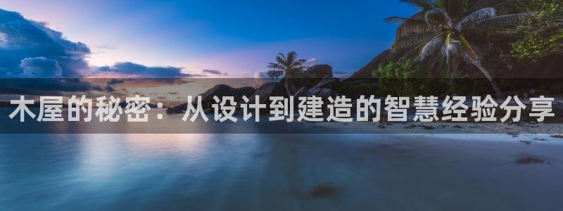 先锋娱乐大厅透视：木屋的秘密：从设计到建造的智慧经验分享