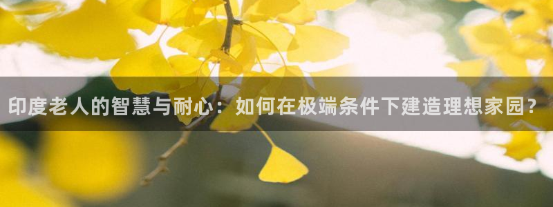 先锋娱乐转进去钱：印度老人的智慧与耐心：如何在极端条件下建造理想家园？