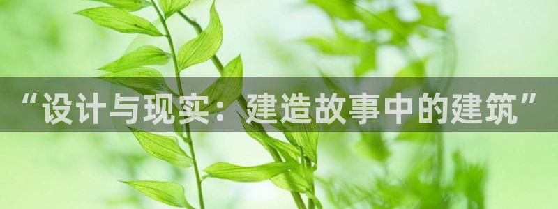 先锋娱乐理财：“设计与现实：建造故事中的建筑”