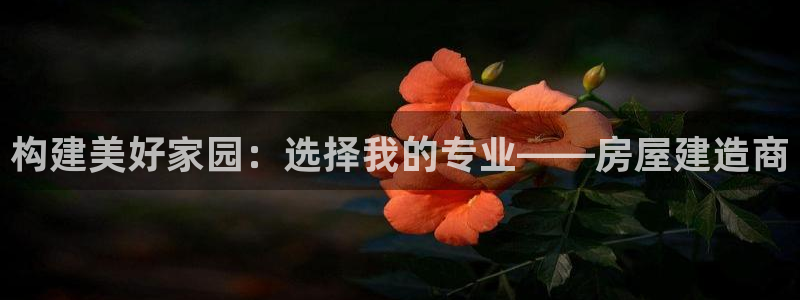 先锋娱乐汇：构建美好家园：选择我的专业——房屋建造商