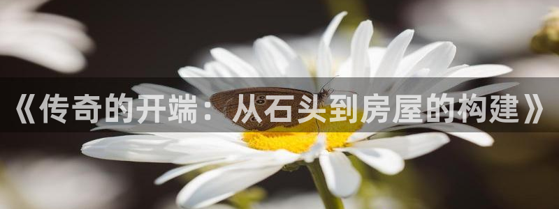 先锋娱乐官：《传奇的开端：从石头到房屋的构建》