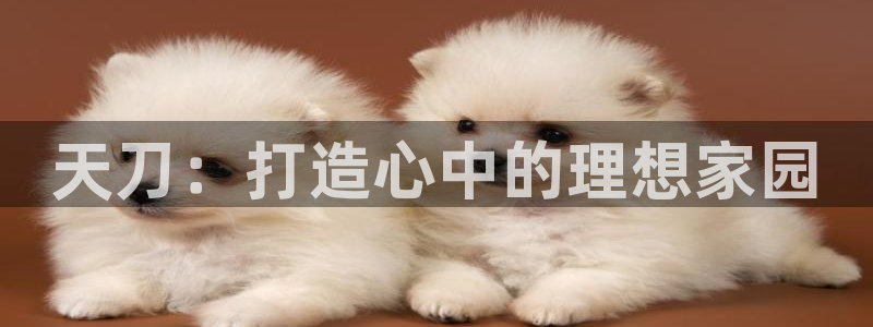 先锋娱乐官方