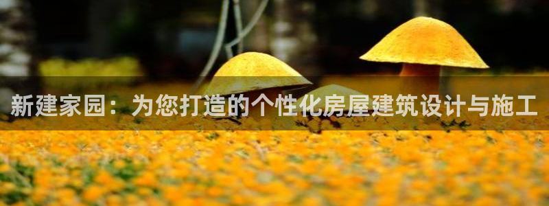 先锋娱乐汇：新建家园：为您打造的个性化房屋建筑设计与施工