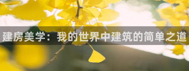 先锋娱乐官：建房美学：我的世界中建筑的简单之道