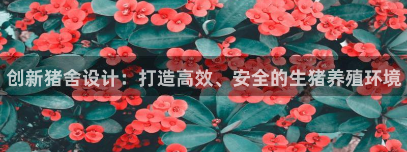 先锋队娱乐：创新猪舍设计：打造高效、安全的生猪养殖环境