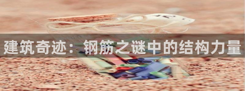 先锋娱乐游戏软件：建筑奇迹：钢筋之谜中的结构力量