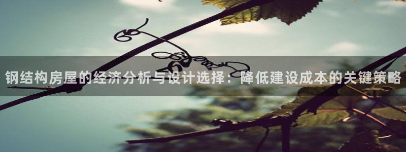 先锋支付娱乐城：钢结构房屋的经济分析与设计选择：降低建设成本的关键策略