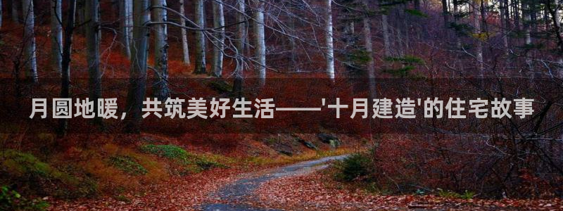 先锋娱乐炸金花：月圆地暖，共筑美好生活——\'十月建造\'的住宅故事