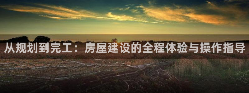 先锋娱乐场所：从规划到完工：房屋建设的全程体验与操作指导