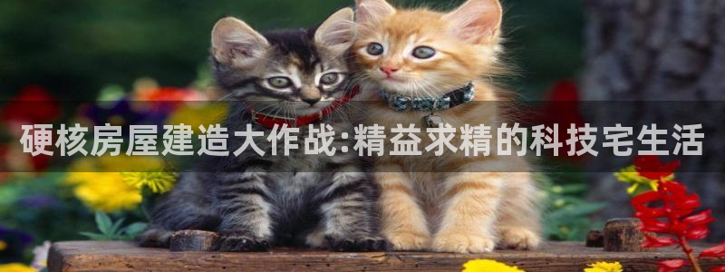 先锋娱乐电话：硬核房屋建造大作战:精益求精的科技宅生活