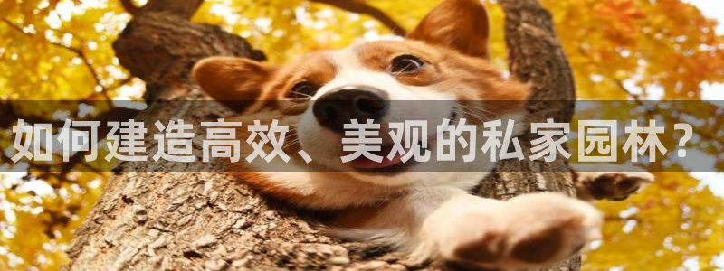澳门先锋娱乐：如何建造高效、美观的私家园林？