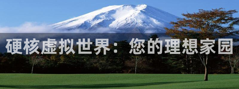 亚洲先锋娱乐跌：硬核虚拟世界：您的理想家园