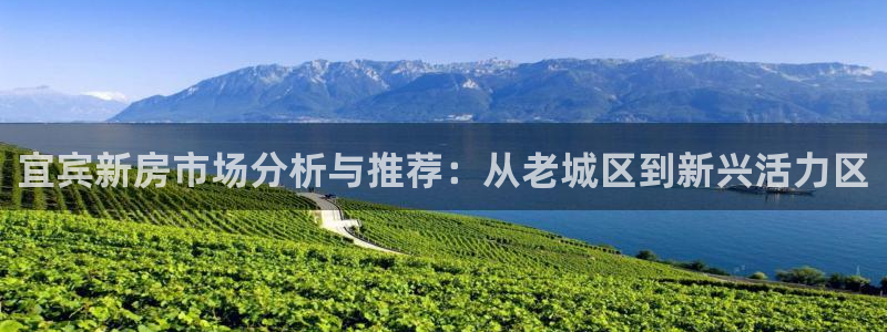 先锋娱乐大厅平台：宜宾新房市场分析与推荐：从老城区到新兴活力区