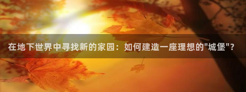 先锋娱乐棋牌有挂吗：在地下世界中寻找新的家园：如何建造一座理想的\