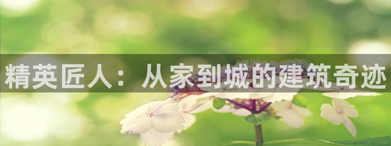 先锋娱乐邀请码多少
