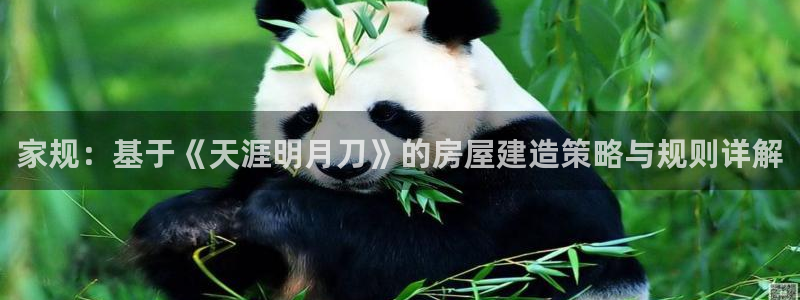 先锋娱乐大厅牛牛：家规：基于《天涯明月刀》的房屋建造策略与规则详解