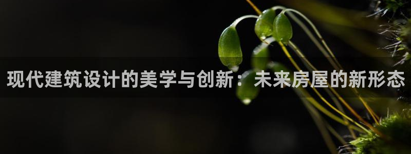 先锋 娱乐：现代建筑设计的美学与创新：未来房屋的新形态