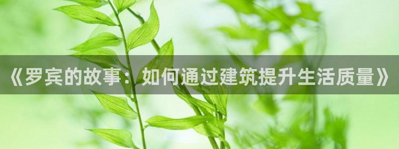 先锋娱乐资讯：《罗宾的故事：如何通过建筑提升生活质量》