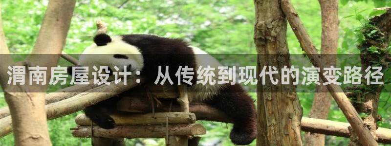 先锋娱乐集团公司：渭南房屋设计：从传统到现代的演变路径