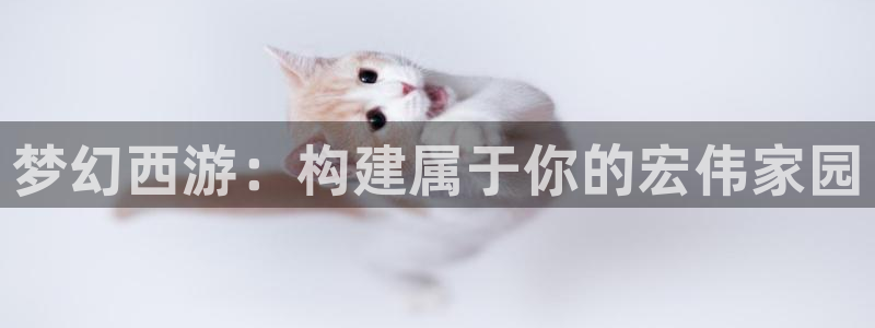 亚洲先锋娱乐跌：梦幻西游：构建属于你的宏伟家园