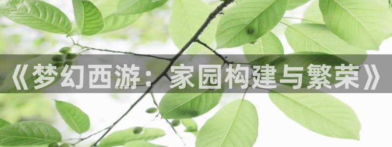 先锋娱乐软件：《梦幻西游：家园构建与繁荣》