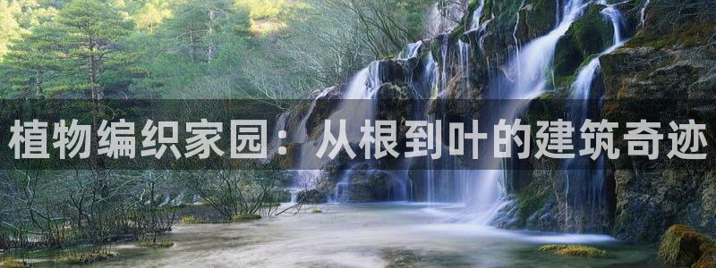 先锋娱乐大厅有挂吗：植物编织家园：从根到叶的建筑奇迹