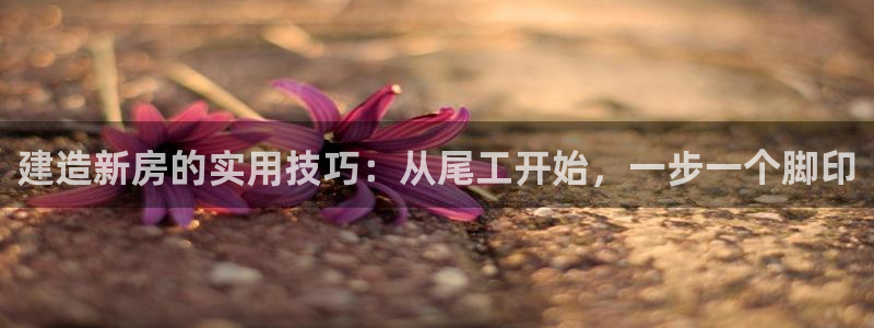 先锋方舟娱乐集团：建造新房的实用技巧：从尾工开始，一步一个脚印