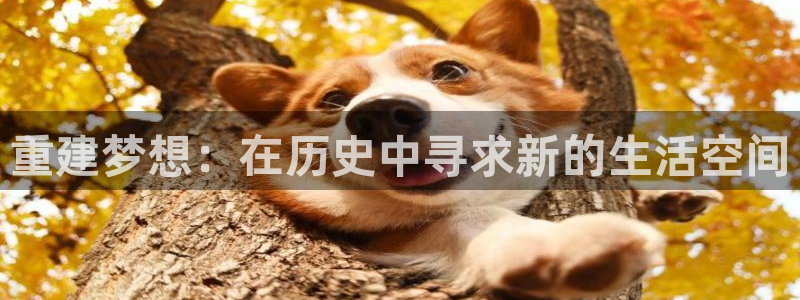 先锋娱乐管理集团