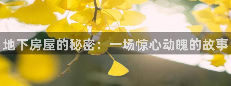 先锋娱乐大厅牛牛：地下房屋的秘密：一场惊心动魄的故事