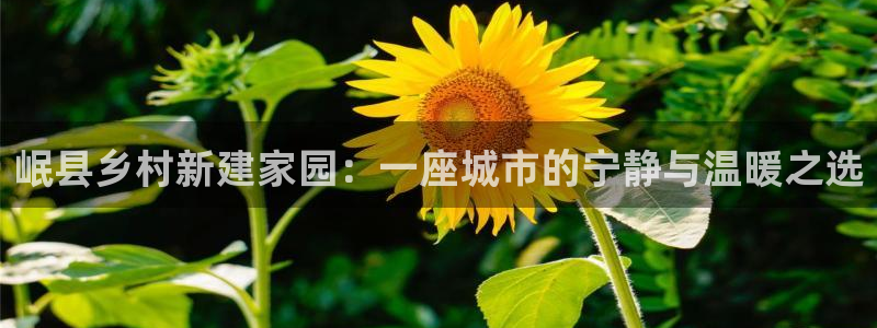 先锋娱乐大厅斗牛：岷县乡村新建家园：一座城市的宁静与温暖之选