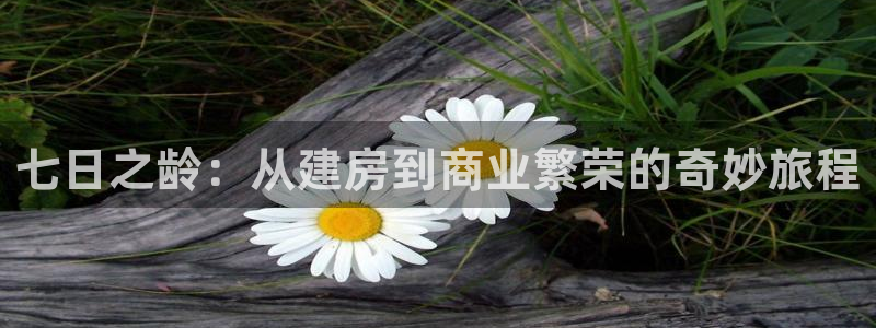 先锋娱乐股票：七日之龄：从建房到商业繁荣的奇妙旅程