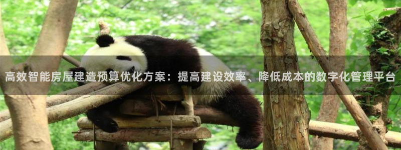 先锋娱乐转进去钱：高效智能房屋建造预算优化方案：提高建设效率、降低成本的数字化管