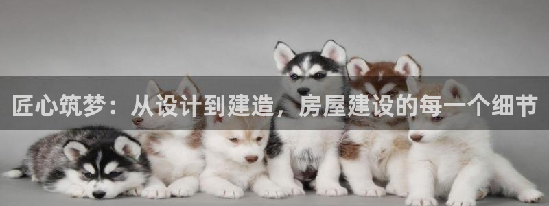 先锋娱乐登录：匠心筑梦：从设计到建造，房屋建设的每一个细节