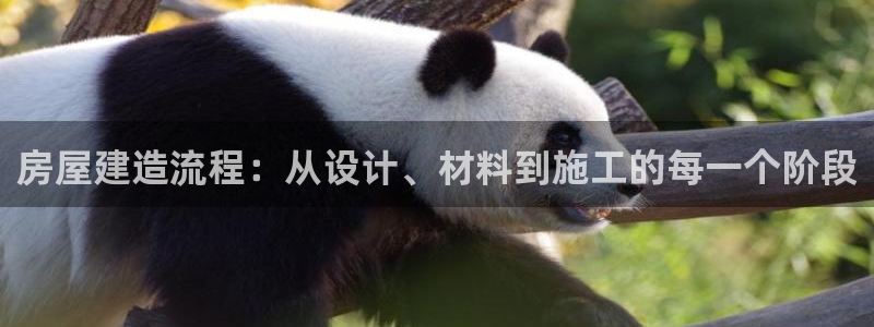先锋娱乐管理集团